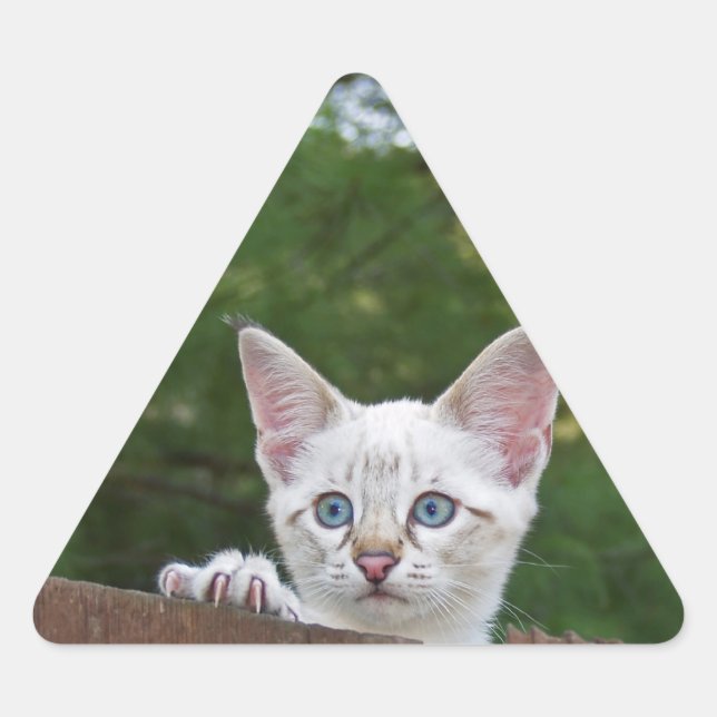 Adesivo Triangular Vinheta Triangular de Cat Savannah Branca (Frente)