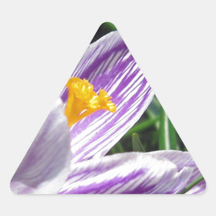 Adesivo Triangular Violet Saltas Crocus