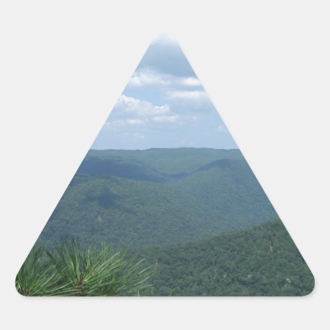 Adesivo Triangular Visão Geral (Frente)