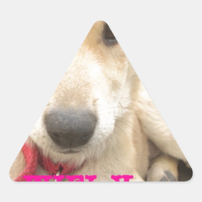 Adesivo Triangular Você Deveria Fazer O Seu Amor Todos Os Dias (Frente)