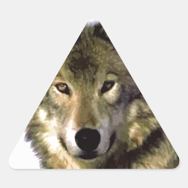 Adesivo Triangular Wolf Portrait (Frente)