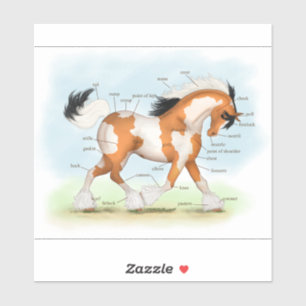 Adesivo Tricolor Overo Pinto Gráfico de Anatomia dos Caval