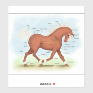 Adesivo Trombose Cavalo Sorrel Gráfico de Anatomia Equestr