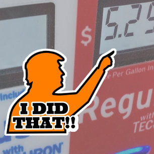 Adesivo Trump "EU FIZ ISSO!" Silhouette Orange Vinyl Cut