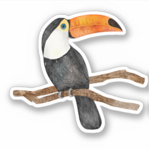 Adesivo Tucano Pássaro Tropical Natureza