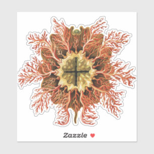 Adesivo Tunicado Náutico Ernst Haeckel Arte da Vida no Mar