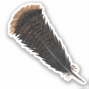 Adesivo Turquia Feather Vinyl Sticker