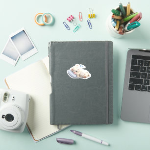 Adesivo Um urso dormindo