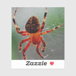 Adesivo Uma Aranha Fome Esperava