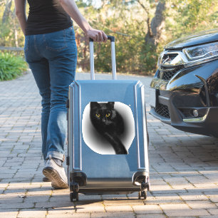 Adesivo Unhas de Filtragem de Gato Preto