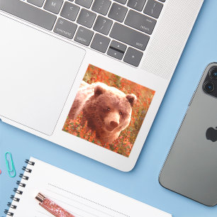 Adesivo Urso Grizzly na Pintura de Arte Selvagem com Algas