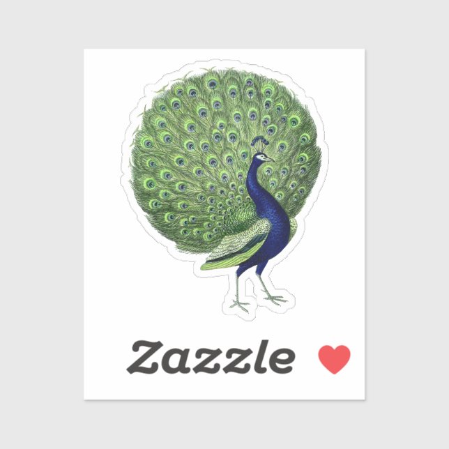 Adesivo Ventilador Aberto Pavão (Folha)