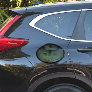 ADESIVO VESTUÁRIO PARA CARROS, ETC