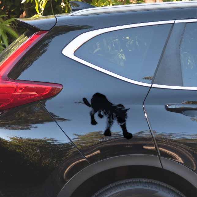 ADESIVO VESTUÁRIO PARA CARROS, ETC (Lado do carro)