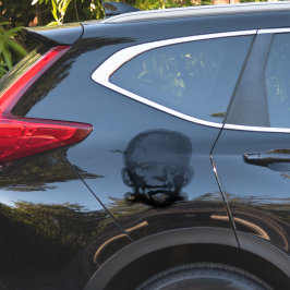 ADESIVO VESTUÁRIO PARA CARROS, ETC