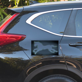 ADESIVO VESTUÁRIO PARA CARROS, ETC