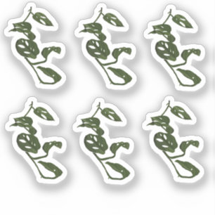 Adesivo Vinha Monstera Design