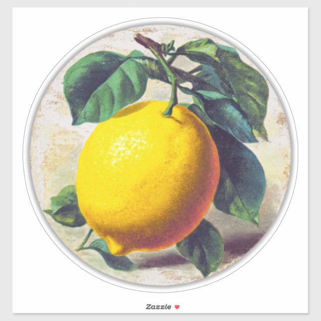 Adesivo Vinheta (Folha)