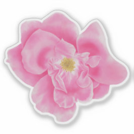 Adesivo Vinheta Botânica Floral Rosa-Rosa-Rosa-Vidro