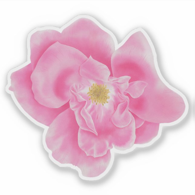 Adesivo Vinheta Botânica Floral Rosa-Rosa-Rosa-Vidro (Frente)