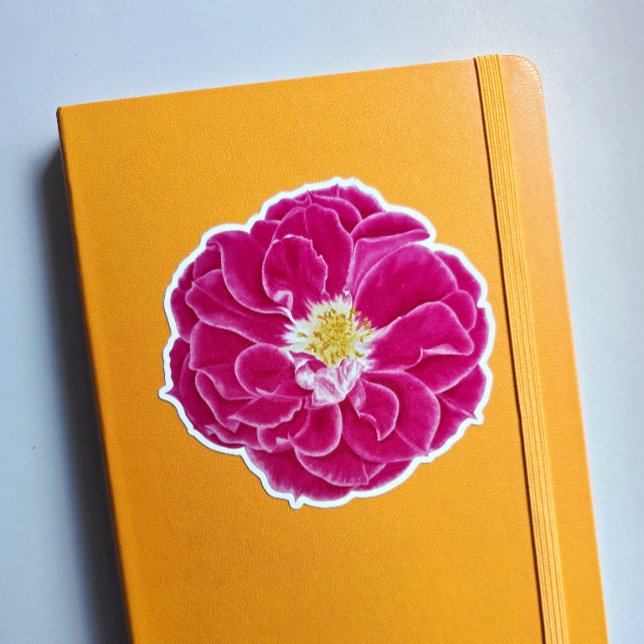 Adesivo Vinheta de Arte Botânica Rosa de Bloqueio Rosa (This is a sticker I ordered myself in the Glossy White 4 inch size.)