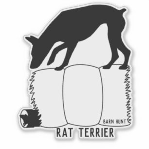 Adesivo Vinheta de caça ao Rat terrier