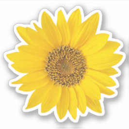 Adesivo Vinheta de Contorno Amarelo-Brilhante