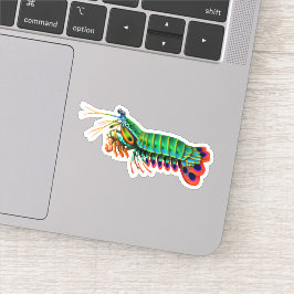 Adesivo Vinheta de Contorno do Camarão Peacock Mantis