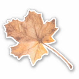 Adesivo Vinheta de corte de vinilo com folha de outono
