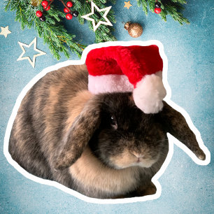 Adesivo Vinheta de Natal Personalizada Holland Lop Bunny D