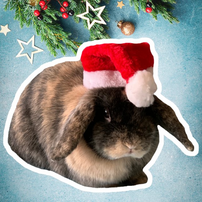 Adesivo Vinheta de Natal Personalizada Holland Lop Bunny D (Criador carregado)
