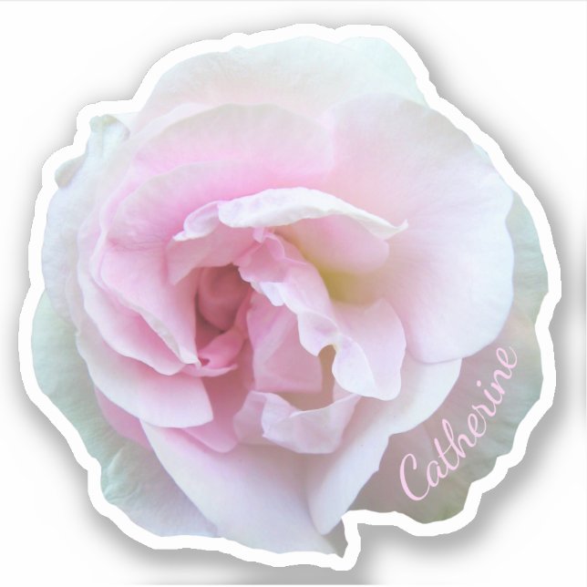 Adesivo Vinheta de Nome Personalizado da Rosa da rosa clar (Frente)