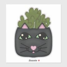 Vinheta de Plantador de Gato Negro