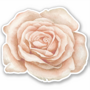 Adesivo Vinheta de Rosa de Aquarela