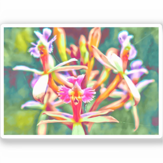 Adesivo Vinheta de vinil das flores peruanas (Frente)