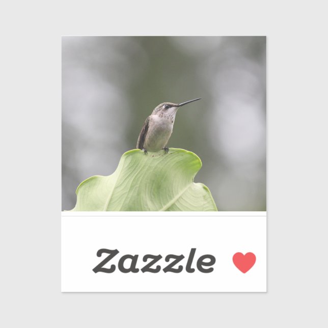 Adesivo Vinheta de vinilo com corte personalizado (Folha)