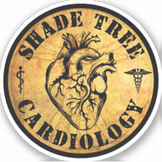 Adesivo Vinheta/Decal de Vinil Cardiologia do ShadeTree