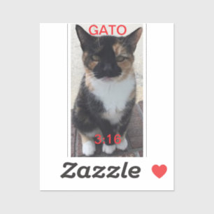 Adesivo Vinheta GATO 3:16