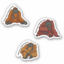 Vinheta "Orangutan Species"