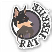 Vinheta Rat terrier