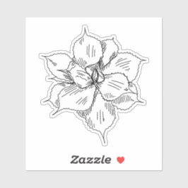 Adesivo Vinheta Suculta