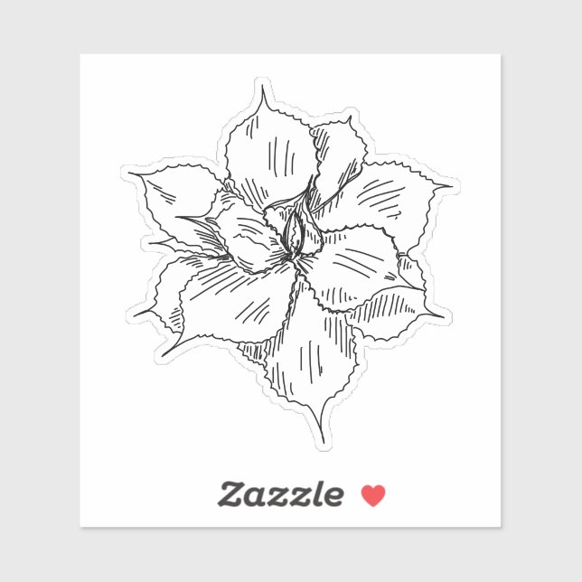 Adesivo Vinheta Suculta (Folha)