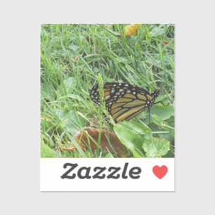 Adesivo Vinheta-Vinho De Corte Personalizado De Borboleta 