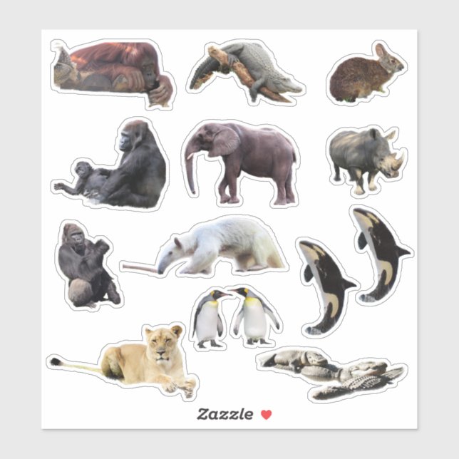 Adesivo Vinheta-vinil de animais selvagens (Folha)