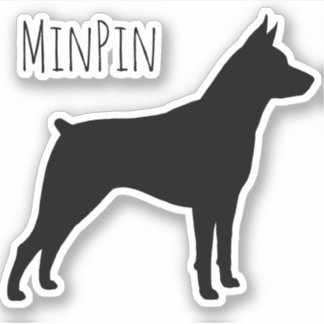 Adesivo Vinheta-vinil de Silhueta MinPin Miniatura Pinsche