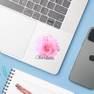 Adesivo Vinhetas de design da garrafa de água personaliza