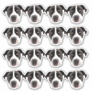 Adesivo Vinhetas de Vinilo à prova d'água personalizadas