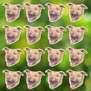 Adesivo Vinhetas de Vinilo à prova d'água personalizadas