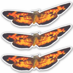 Adesivo Vinhetas de vinilo com corte personalizado de 14" 