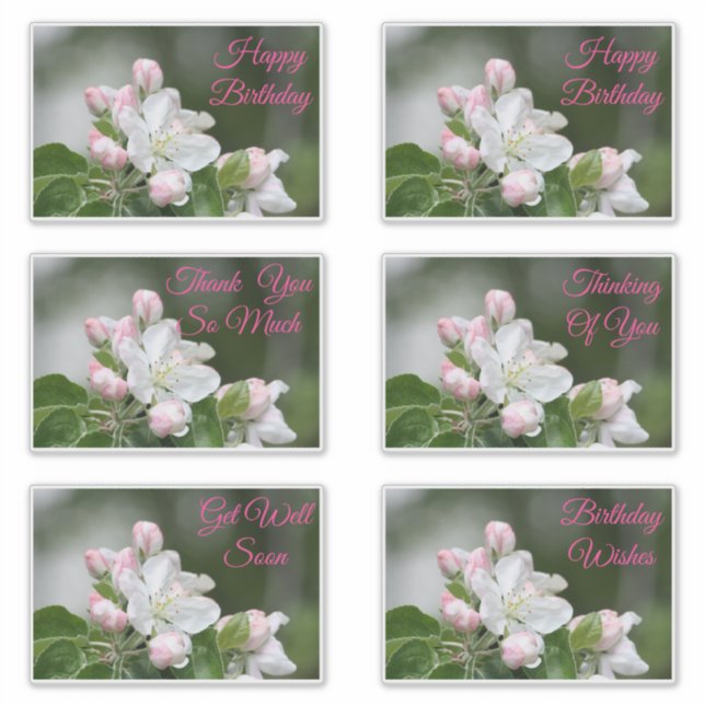 Adesivo Vinhetas Decorativas Para Todas As Ocasiões (Frente)